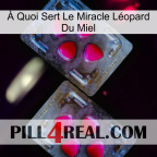 À Quoi Sert Le Miracle Léopard Du Miel 15